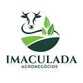 logo-31